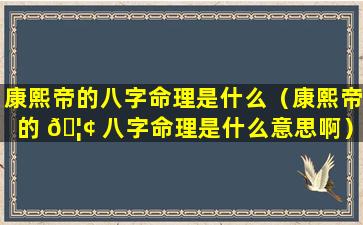 康熙帝的八字命理是什么（康熙帝的 🦢 八字命理是什么意思啊）